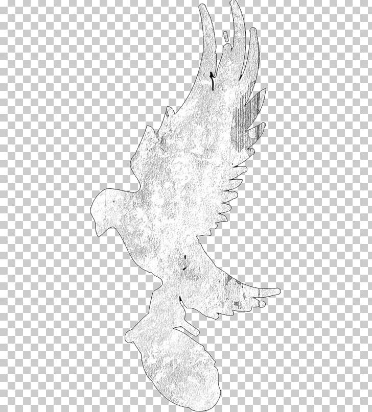Chicken Bird Anatidae Cygnini Sketch PNG, Clipart, Anatidae, Art, Artwork, Beak, Bird Free PNG Download