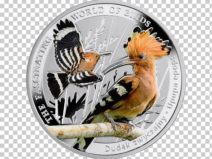 Silver Coin Bird Polish Mint PNG, Clipart,  Free PNG Download