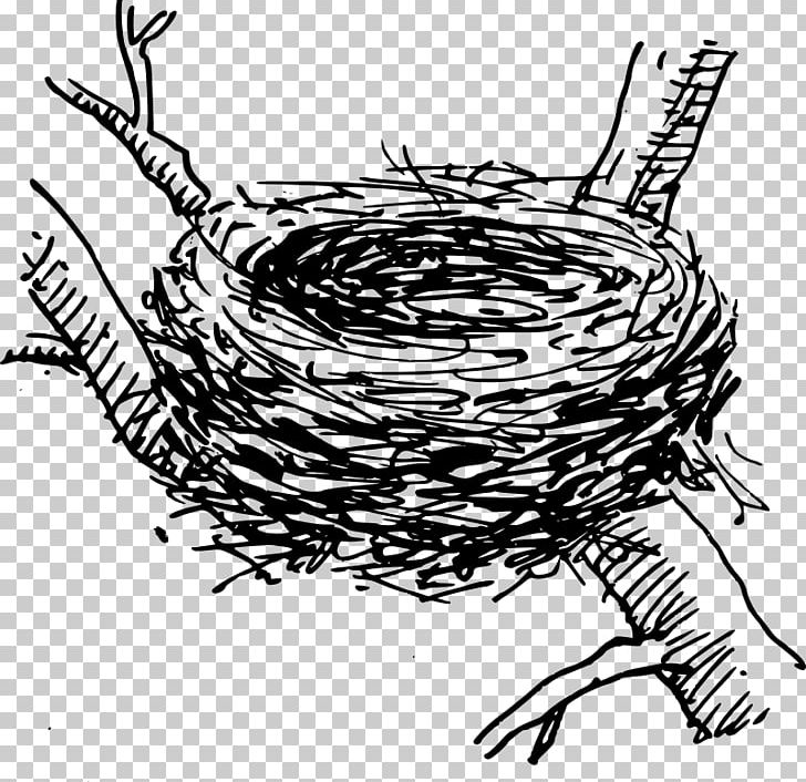 Bird Nest PNG, Clipart, Animals, Artwork, Beak, Bird, Bird Nest Free PNG Download