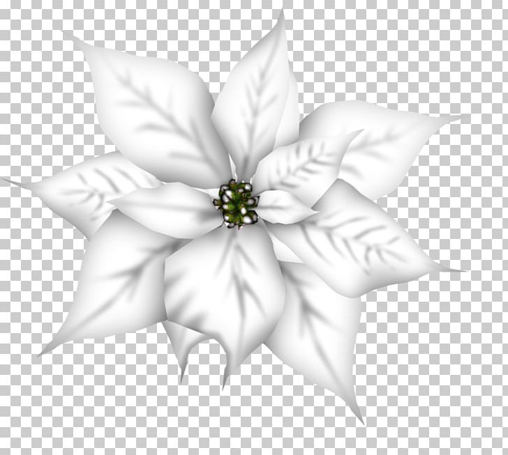 Petal White Cut Flowers Flowering Plant PNG, Clipart, Black And White, Cut Flowers, Flora, Flower, Flowering Plant Free PNG Download