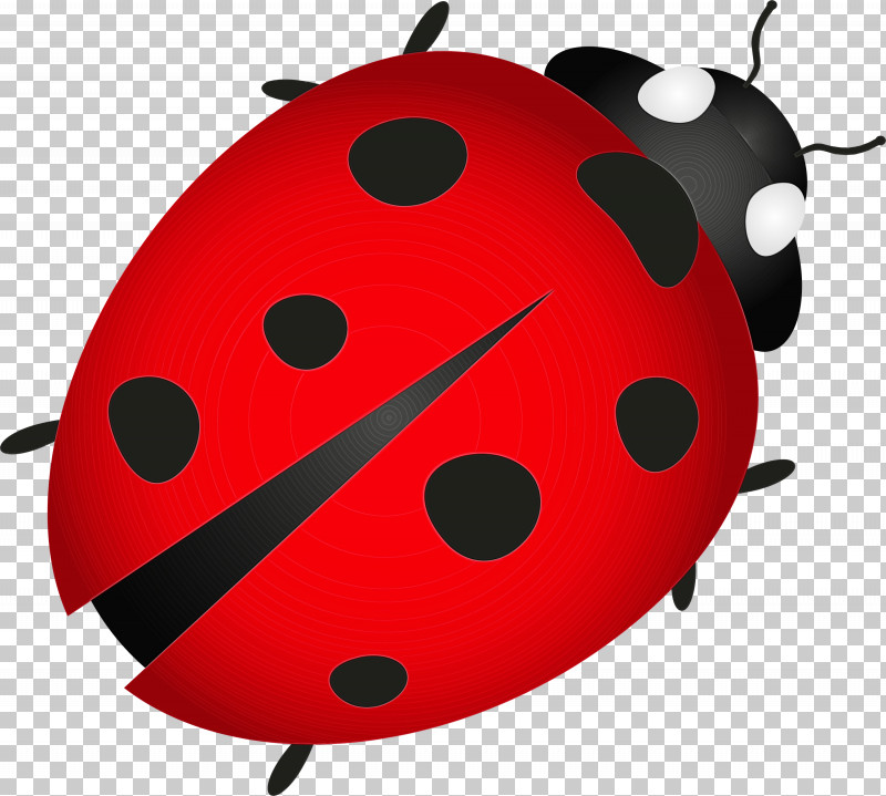 Ladybird Beetle Beetles Drawing Cartoon Marinette Dupain-cheng PNG, Clipart, Animation, Beetles, Cartoon, Drawing, Ladybird Beetle Free PNG Download