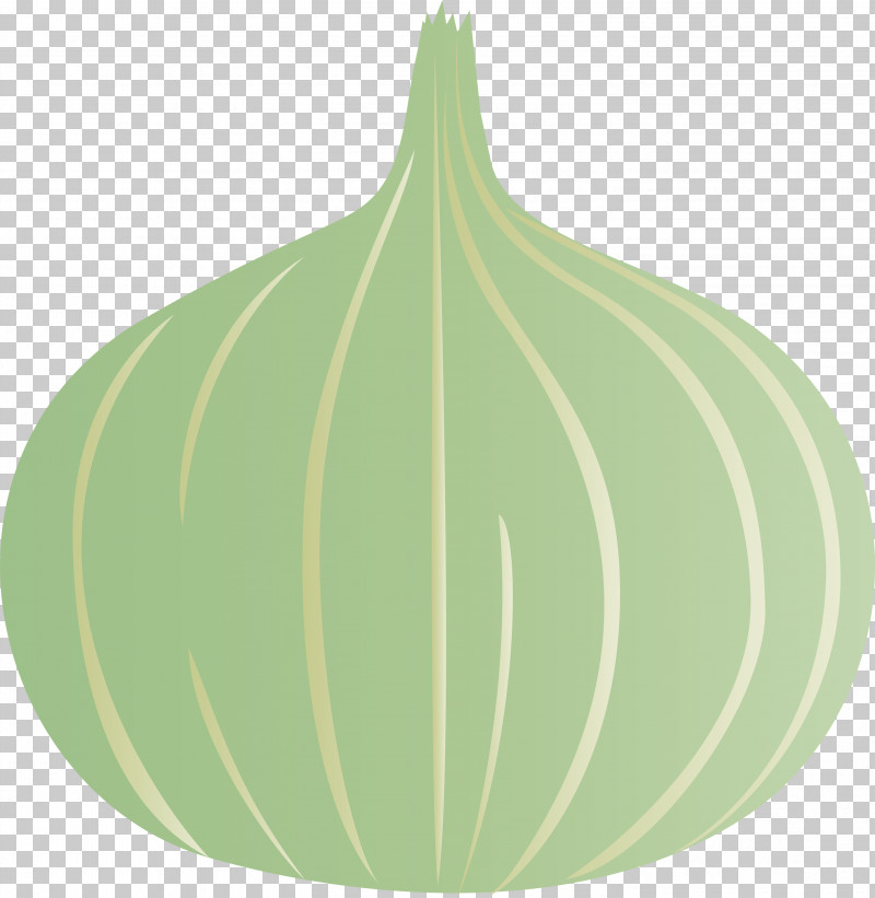 Onion PNG, Clipart, Biology, Christmas Day, Christmas Ornament, Christmas Ornament M, Green Free PNG Download