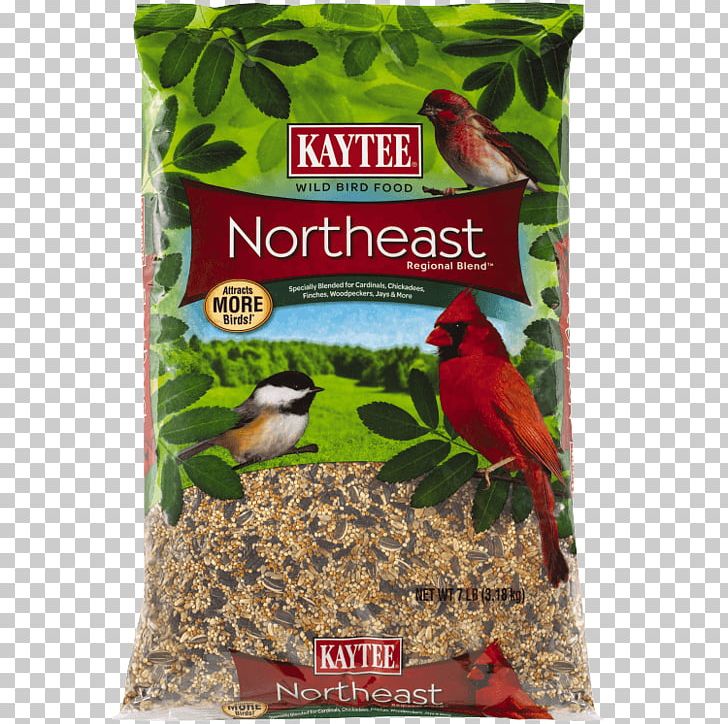 Bird Food Kaytee Sunflower Seed Suet PNG, Clipart, Animals, Bird, Bird Feeder, Bird Food, Bird Supply Free PNG Download