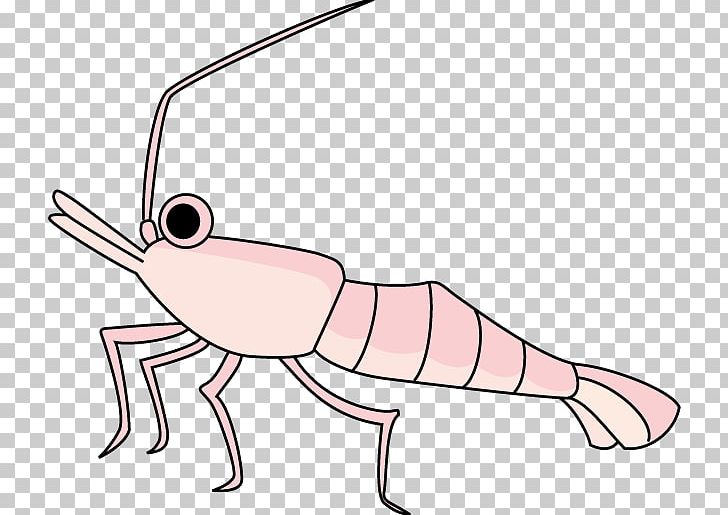 Crab Shrimp Paratya Compressa PNG, Clipart, Amano Shrimp, Angle, Animal, Animals, Arm Free PNG Download