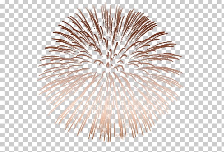 Fireworks New Year Snegurochka Ded Moroz PNG, Clipart, Albom, Christmas, Ded Moroz, Desktop Wallpaper, Fire Free PNG Download