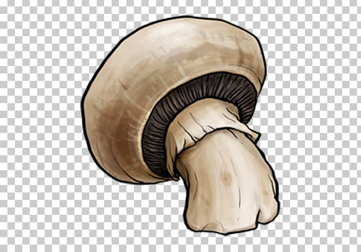 Computer Icons Mushroom PNG, Clipart, Agaricaceae, Agaricomycetes, Agaricus, Cabbage Roll, Common Mushroom Free PNG Download