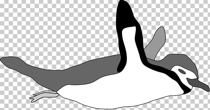 Penguin Swimming PNG, Clipart, Animals, Arm, Beak, Bird, Black Free PNG Download