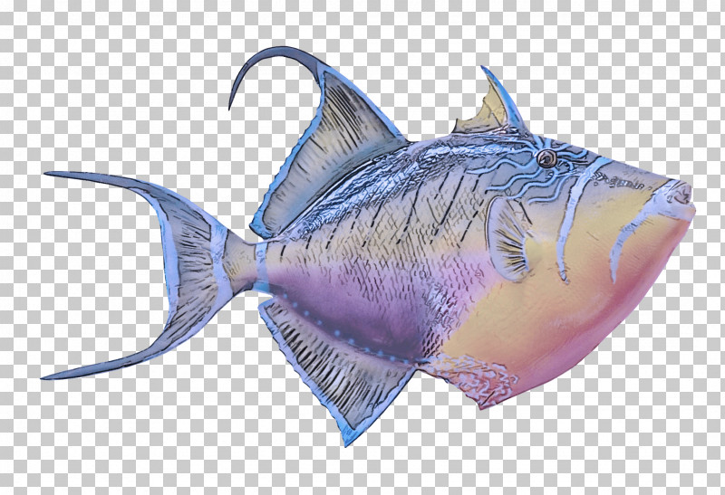 Fish Fish Triggerfish Deep Sea Fish Fin PNG, Clipart, Deep Sea Fish, Fin, Fish, Triggerfish Free PNG Download