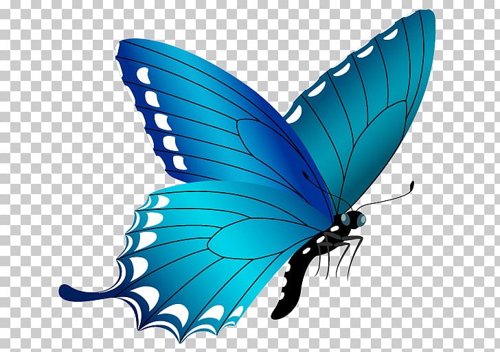 Butterfly Blue PNG, Clipart, Arthropod, Blue, Bluegreen, Brush Footed Butterfly, Butterfly Free PNG Download