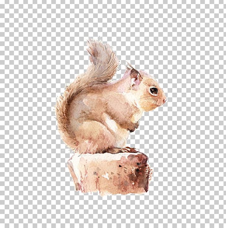 Chipmunk Squirrel Watercolor Painting PNG, Clipart, Animal, Animals, Apicola Del Alba, Brown, Chipmunk Free PNG Download