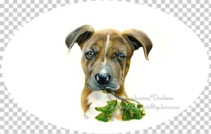 Dog Breed Black Mouth Cur Boerboel Puppy Snout PNG, Clipart, Animals, Black Mouth Cur, Boerboel, Breed, Caesar Free PNG Download