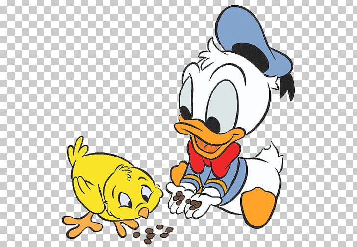 baby donald duck coloring pages  Clip Art Library