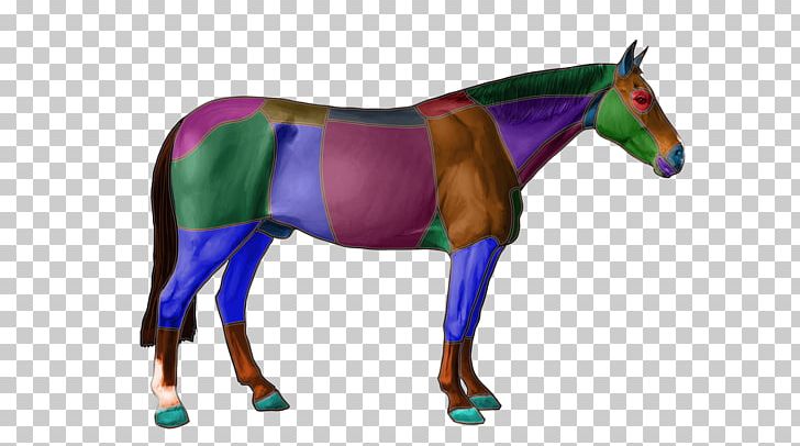 Mule Horse Stallion Mare Pony PNG, Clipart, Animals, Bridle, Equestrian, Equine Anatomy, Equineassisted Therapy Free PNG Download