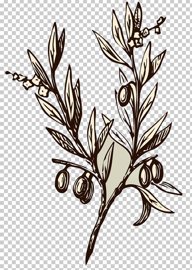 Olive Branch Drawing Symbol PNG, Clipart, Almond, Black And White, Branch, Commodity, Doves As Symbols Free PNG Download