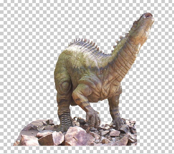 Tyrannosaurus Dinosaur Velociraptor Animal PNG, Clipart, Animal, Dinosaur, Dinosaurs, Dragon, Extinction Free PNG Download