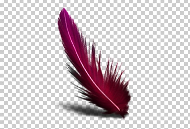 Computer Icons Feather Computer Mouse PNG, Clipart, Animals, Baha, Color, Computer Icons, Computer Mouse Free PNG Download