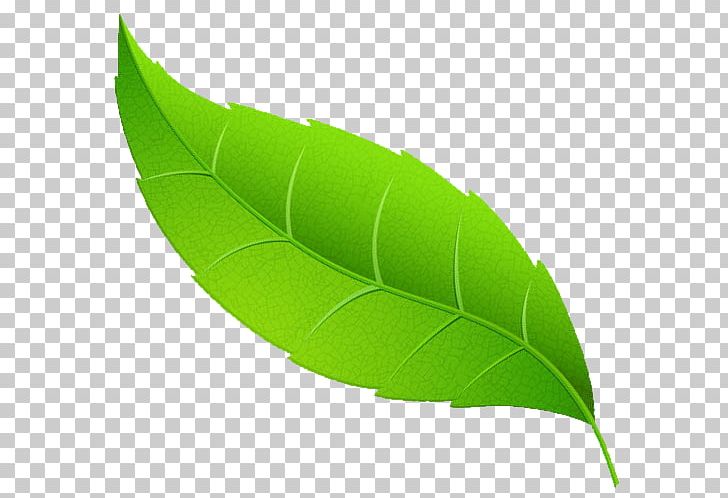 Digitization Document Information Peppermint PNG, Clipart, Banana, Banana Leaf, Data, Digitization, Document Free PNG Download