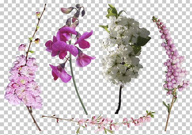 Flower Overlay Petal PNG, Clipart, Adobe Creative Cloud, Artificial Flower, Blossom, Branch, Cut Flowers Free PNG Download