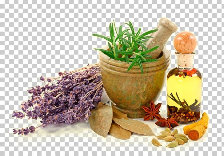 Homeopathy Alternative Health Services Medicine Naturopathy Healing PNG, Clipart, Allergy, Alternative Health Services, Ayurveda, Clinic, Cure Free PNG Download