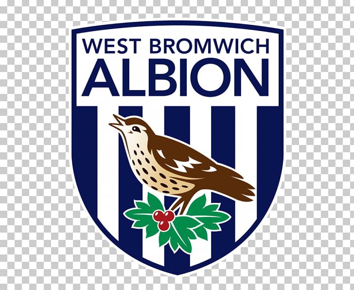 West Bromwich Albion F.C. England 2017–18 Premier League Bass Charity Vase Football PNG, Clipart, Advertising, Beak, Ben Foster, Bird, Brand Free PNG Download