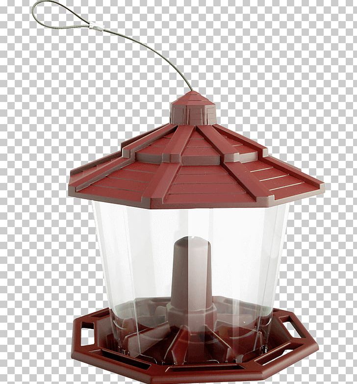 Bird Feeders Hummingbird House Sparrow Common Redpoll PNG, Clipart,  Free PNG Download