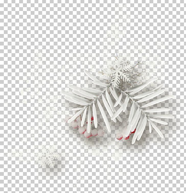 Christmas Decoration Christmas Ornament Blog Pine PNG, Clipart, Blog, Body Jewellery, Body Jewelry, Christmas, Christmas Decoration Free PNG Download