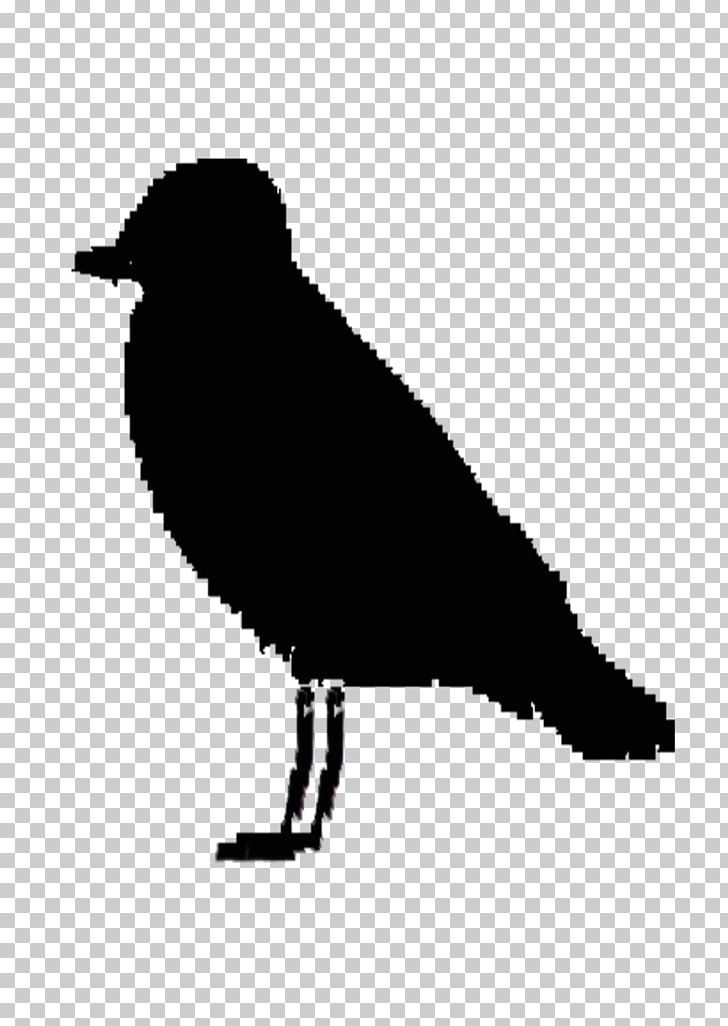 Ireland Silhouette Bird PNG, Clipart, Animals, Beak, Bird, Black And White, Computer Icons Free PNG Download