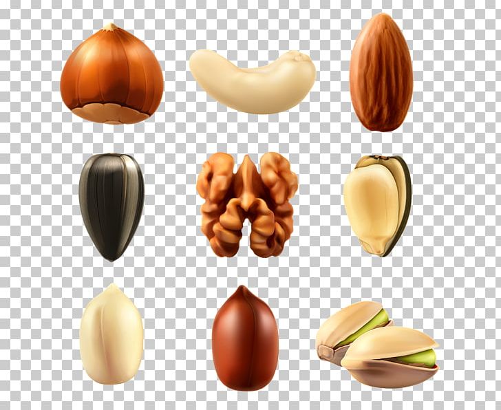 Nut Cashew PNG, Clipart, Almond, Cashew, Collection, Commodity, Computer Icons Free PNG Download