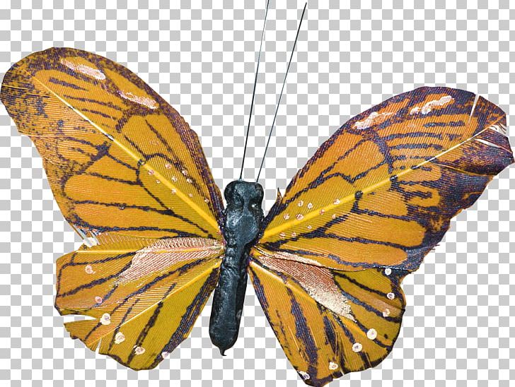 Butterfly Moth PNG, Clipart, Arthropod, Brush Footed Butterfly, Ink, Insects, Invertebrate Free PNG Download