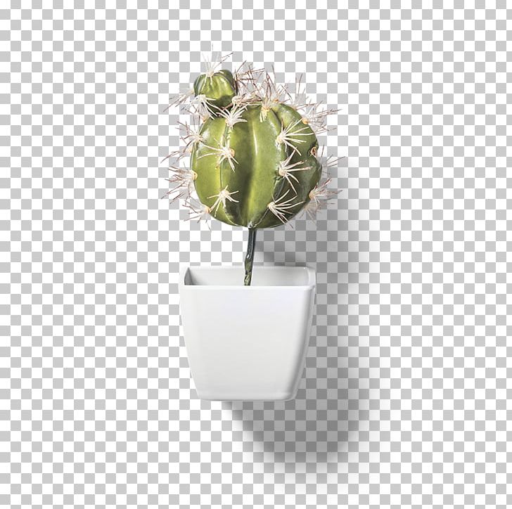 Cactaceae Flowerpot PNG, Clipart, Ball, Cactus Cartoon, Cactus Vector, Cactus Watercolor, Cartoon Free PNG Download