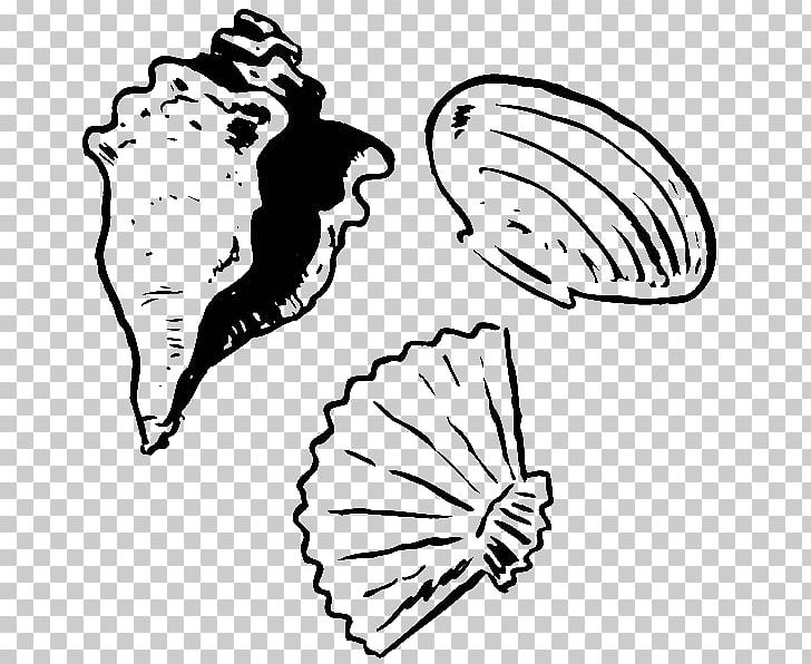 Clam Seashell Coloring Book Drawing Oyster PNG, Clipart, Animal, Animals, Arm, Art, Black Free PNG Download