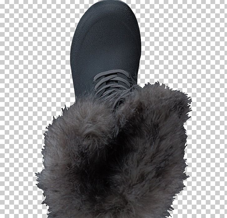 Furcap Snout PNG, Clipart, Feather, Fur, Furcap, Headgear, Lacrosse In England Free PNG Download