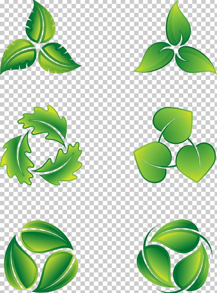 Leaf Logo Icon PNG, Clipart, Background Green, Branch, Eco Green, Ecology, Fall Leaves Free PNG Download