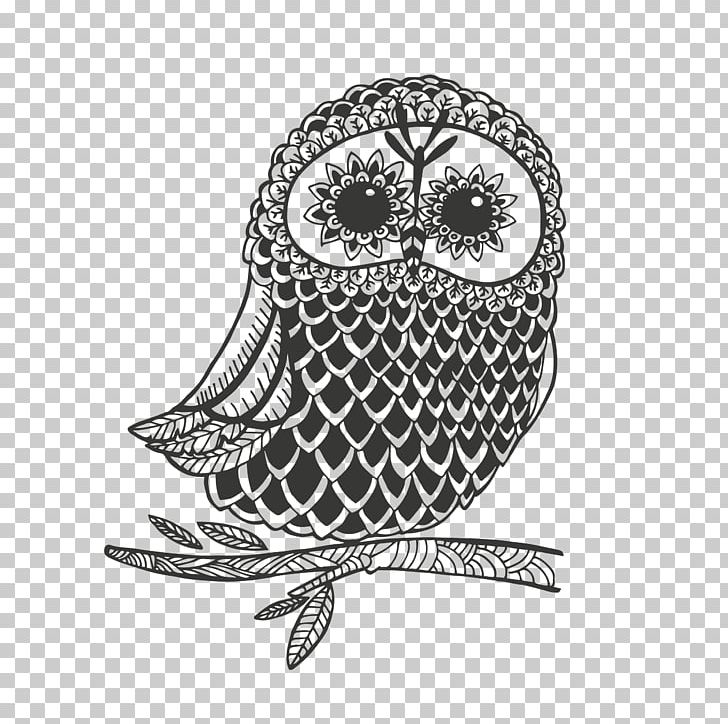 Owl Drawing Graphics PNG, Clipart, Animals, Art, Barn Owl, Beak, Bird Free PNG Download