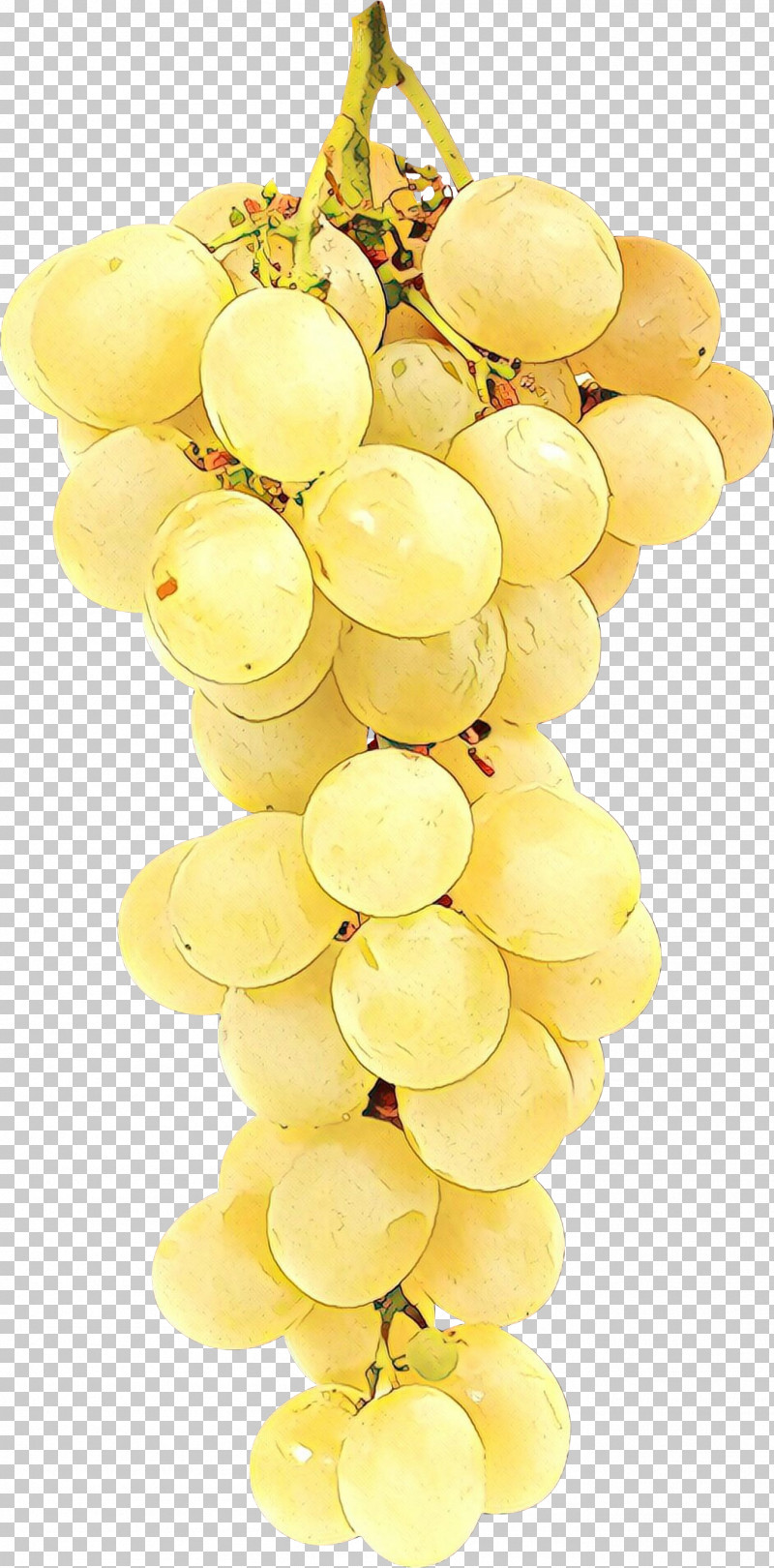 Grape Seedless Fruit Grapevine Family Yellow Sultana PNG, Clipart, Fruit, Grape, Grapevine Family, Plant, Seedless Fruit Free PNG Download
