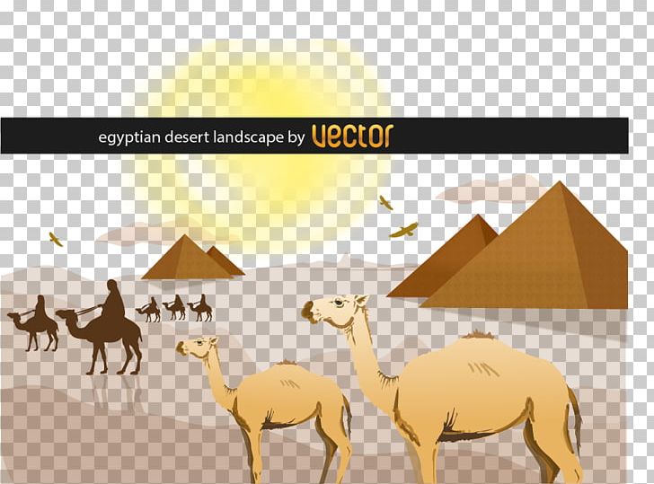 Sahara Desert Landscape PNG, Clipart, Arabian Camel, Arizona Desert, Bird, Camel, Camel Like Mammal Free PNG Download