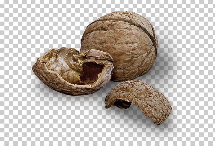 Walnut Fruit Free Juglans PNG, Clipart, Auglis, Broken, Broken Glass, Broken Heart, Commodity Free PNG Download