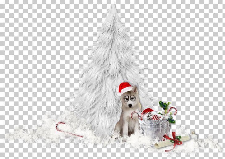 Christmas Tree Christmas Day Portable Network Graphics Adobe Photoshop PNG, Clipart, Adobe Lightroom, Art, Christmas, Christmas Day, Christmas Decoration Free PNG Download
