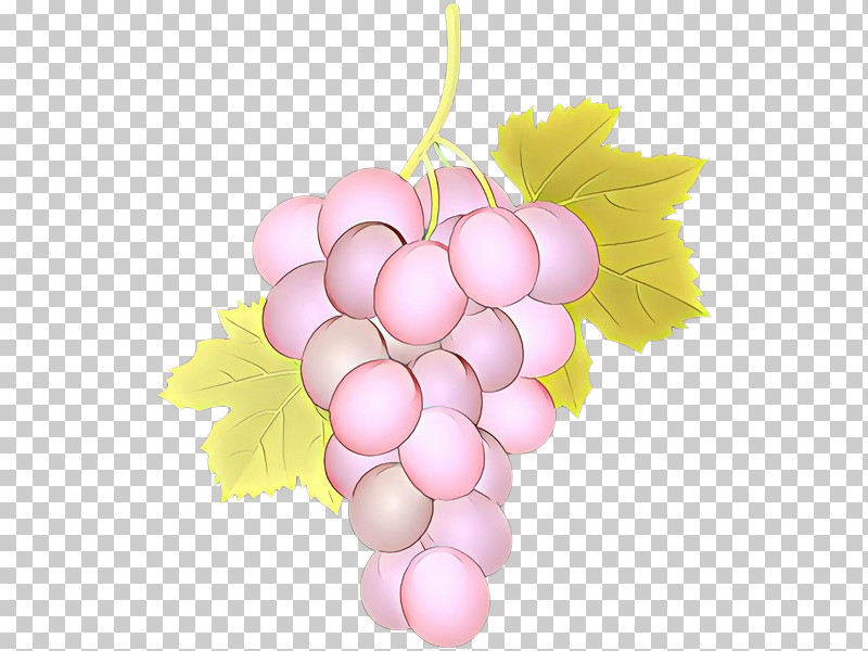 Grape Grapevine Family Pink Vitis Seedless Fruit PNG, Clipart, Flower, Food, Fruit, Grape, Grapevine Family Free PNG Download