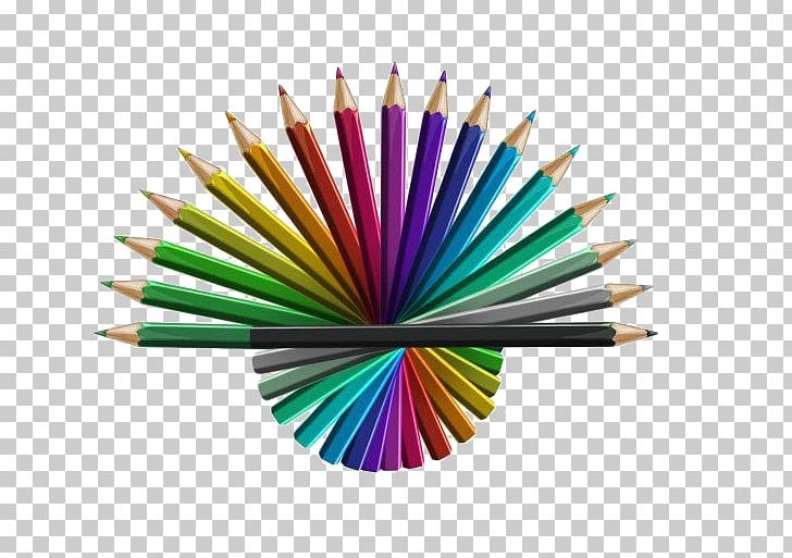 Colored Pencil Pen & Pencil Cases PNG, Clipart, Blue Pencil, Color, Colored Pencil, Color Of Lead, Creative Artwork Free PNG Download