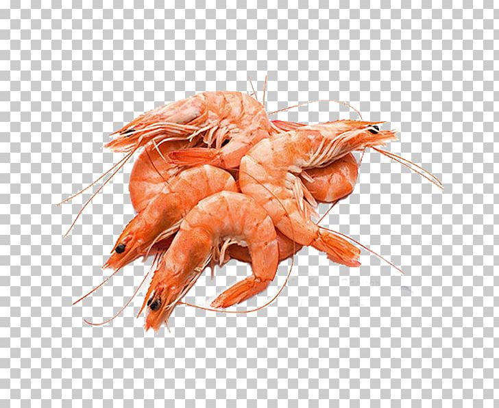 Fish Products Prawn Seafood PNG, Clipart, Animal Source Foods, Caridean Shrimp, Cooking, Crustacean, Decapoda Free PNG Download