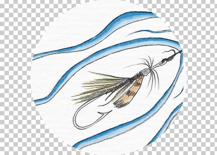 Marine Mammal Feather PNG, Clipart, Art, Beak, Drawing, Feather, Fish Free PNG Download