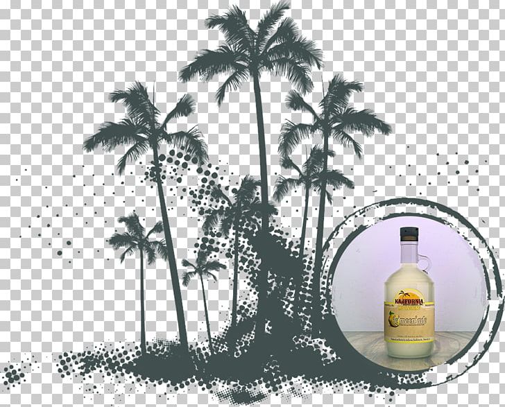 Palm Trees Graphics Illustration PNG, Clipart, Arecales, Art, Flora, Istock, Palm Tree Free PNG Download