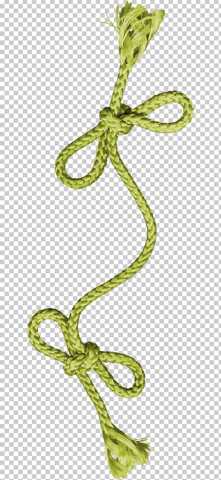 Rope Icon PNG, Clipart, Branch, Color, Download, Encapsulated Postscript, Float Free PNG Download