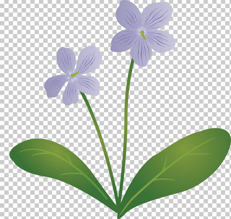 Violet Flower PNG, Clipart, Biology, Flora, Herbaceous Plant, Lavender, Petal Free PNG Download