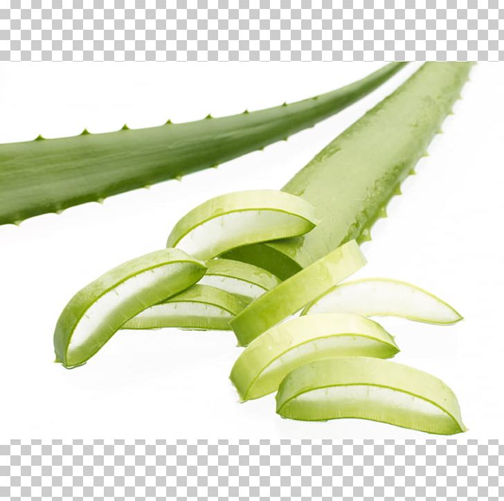 Aloe Vera Skin Forever Living Products Volume Plant PNG, Clipart, Aloe, Aloe Vera, Drop, Forever, Forever Living Products Free PNG Download