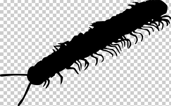 Millipedes Pest Caterpillar Cockroach Centipedes PNG, Clipart, Animals, Ant, Arthropod, Black And White, Caterpillar Free PNG Download