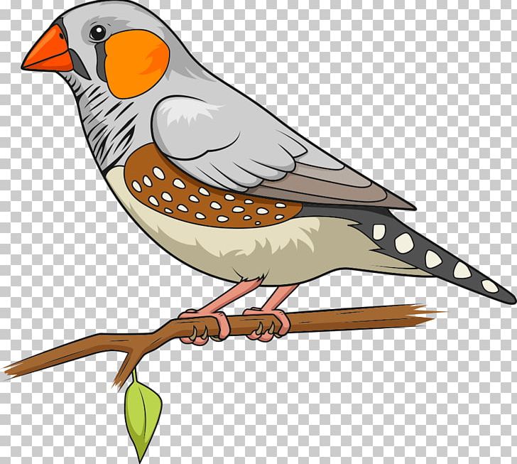 Bird Zebra Finch The Greatest Dot-To-Dot Adventure Book 2 Connect The Dots PNG, Clipart, Animals, Art, Beak, Bird Migration, Branches Free PNG Download