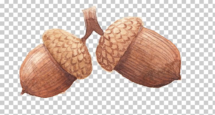 Nut Commodity PNG, Clipart, Commodity, Ingredient, Nut, Nuts Seeds, Sound Made By A Hen Free PNG Download
