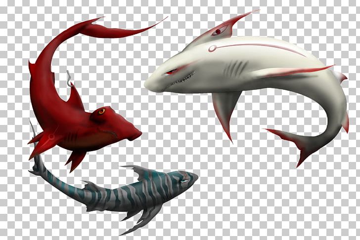 Shark Fauna Dolphin PNG, Clipart, Animals, Claw, Dolphin, Fauna, Fin Free PNG Download